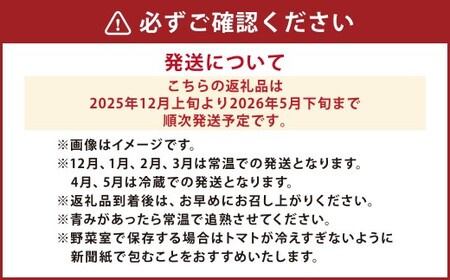 麗妃トマト（栽培自慢） 約2kg 【2025年12月上旬発送開始】 野菜 やさい とまと トマト 熊本県産 国産