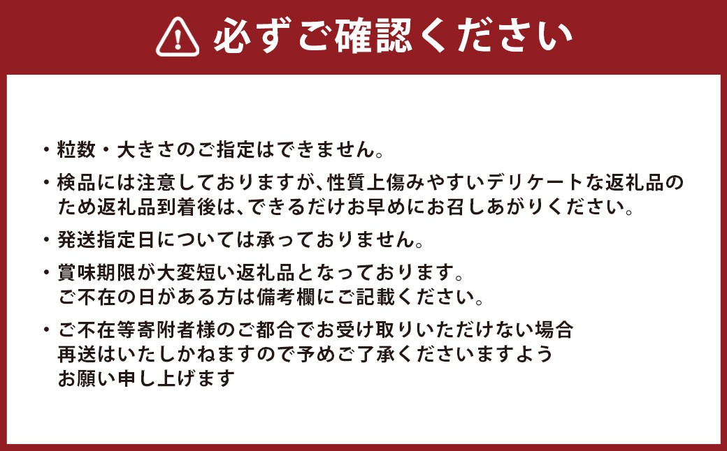 長崎市産びわ 1kg 24個入 【2026年4月下旬～5月下旬発送予定】 びわ ビワ 果物 くだもの フルーツ 国産 国産フルーツ 常温 長崎県 長崎市