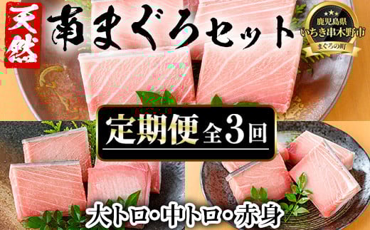＜定期便・全3回(毎月)＞極上天然南まぐろセット！大トロ・中トロ・赤身・ネギトロ(総量1.4kg)まぐろ 鮪 刺身 海鮮丼 海鮮 魚介 タタキ さかな 柵 南マグロ【海鮮まぐろ家】【E-164H】