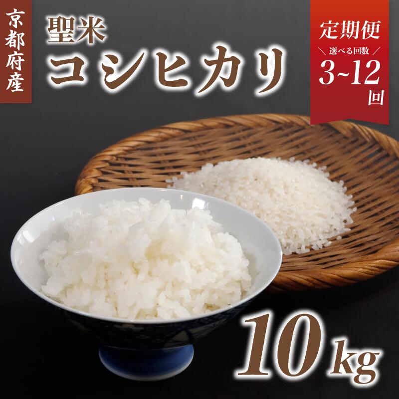 【ふるさと納税】【令和7年度産】【定期便】「聖米」 白米 10kg 京都府産 コシヒカリ （ 3回 / 6回 / 12回 ）《選べるお届け回数》 お米 米 白米 精米 こしひかり お米の定期便 毎月発送