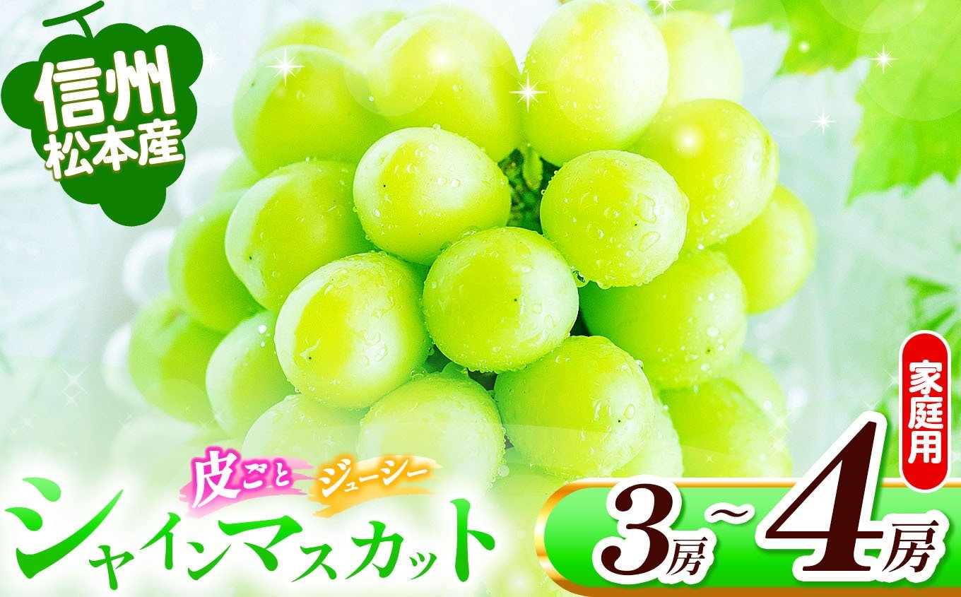 
            信州松本産　家庭用　シャインマスカット　3～４房(約1.8kg) │ シャインマスカット マスカット ブドウ ぶどう 葡萄 果汁 果物 秋 くだもの フルーツ 自然 旬 ご褒美 長野県 信州 松本 ふるさと納税
          
