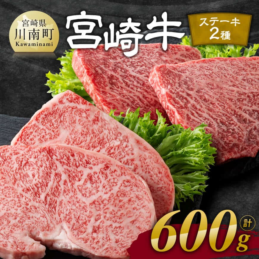 【ふるさと納税】 ※レビューキャンペーン※宮崎牛ステーキ 2種 600g - 肉 牛肉 黒毛和牛 宮崎県産牛 九州産牛 国産牛 宮崎県産 九州産 国産 ロース モモ ステーキ E11118