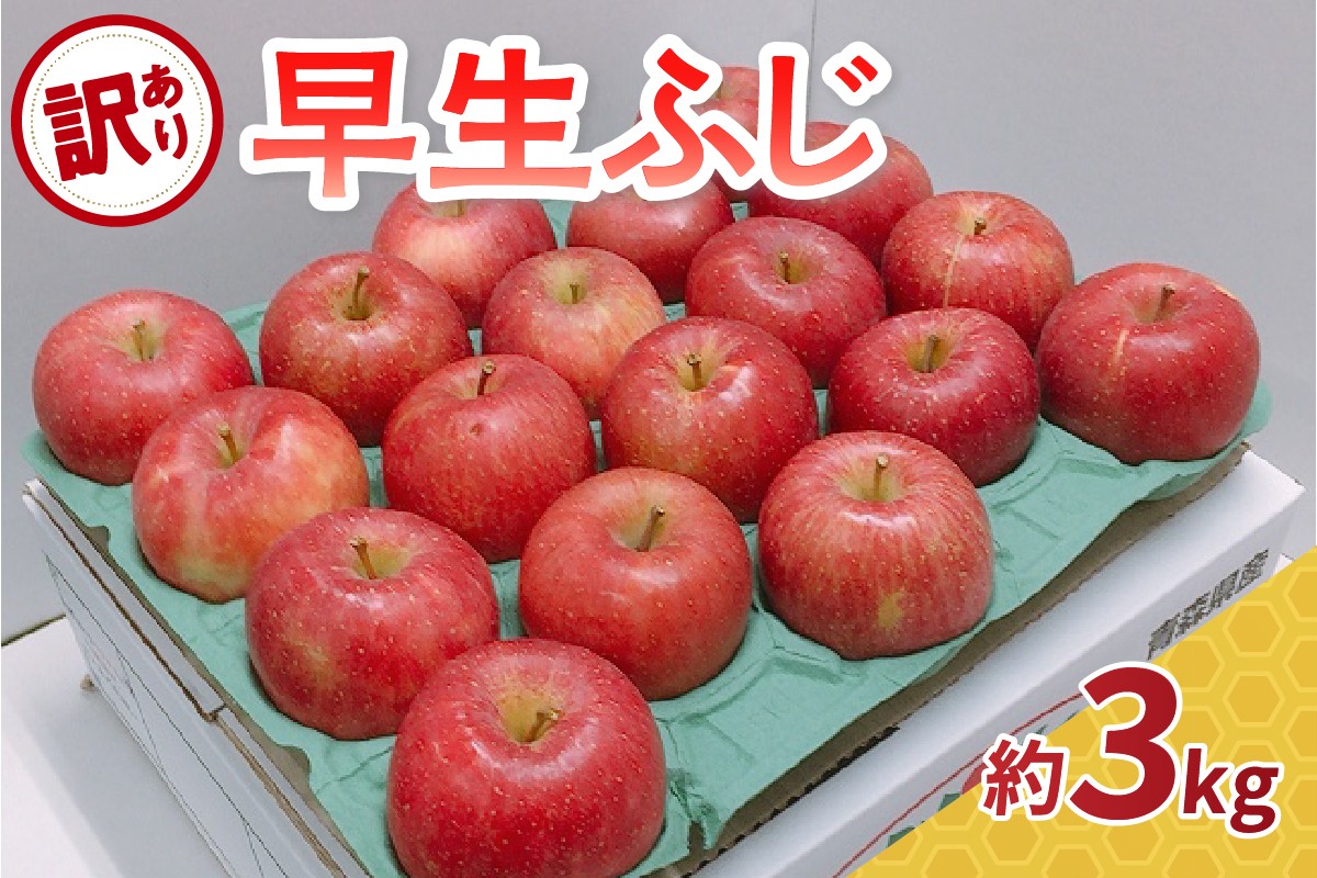 
                  【2026年10月発送】 りんご 約3kg 訳あり 早生ふじ 【 青森 林檎 フジ リンゴ ワケアリ 果物 フルーツ】
                