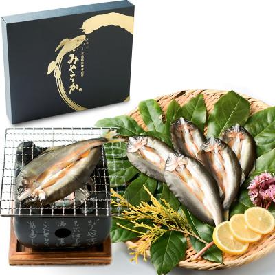 ふるさと納税 郡上市 天然鮎専門店みやちかの【天然鮎一夜干し】長良川郡上鮎　5匹