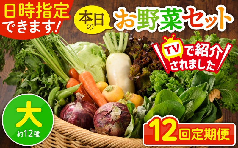 
                  【12回定期便】日時指定OK！本日のお野菜セット 〈大サイズ/約12種〉 4人以上用 新鮮 産地直送 野菜詰め合わせ 有機栽培 野菜 果物 野菜セット 野菜定期便 送料無料 【オーガニックのまち 宮崎県綾町】
                