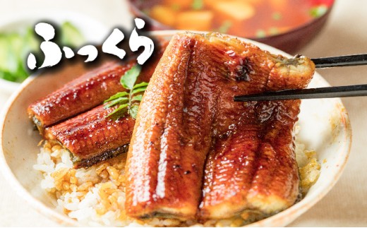 ＜定期便2回＞ うなぎ 蒲焼き 白焼き 食べ比べセット 計800g (200g×各1尾×2回)  冷蔵 [21ys-0006]