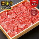 【ふるさと納税】豊後牛もも焼肉(500g) ギフトにもおすすめ!【配送不可地域：離島】【1078154】