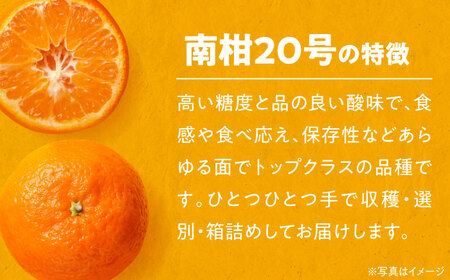 ＼レビューキャンペーン中／【先行予約】【12月上旬から順次発送】本場ならではの品質！柑橘王国愛媛県産温州みかん 南柑20号 約4kg　愛媛県大洲市/有限会社カーム/カームシトラス[AGBW002]みか