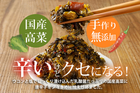 辛子高菜 240g×2パック（480g） 山賊の高菜 からし高菜 メール便 ポッキリ お米に合う ご飯のお供 おつまみ 国産 無添加 お取り寄せ 福岡 お土産 九州 グルメ 福岡県