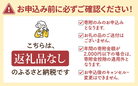 【返礼品なし】石川県 かほく市 応援寄附金 100,000円分 | 支援 純粋寄附