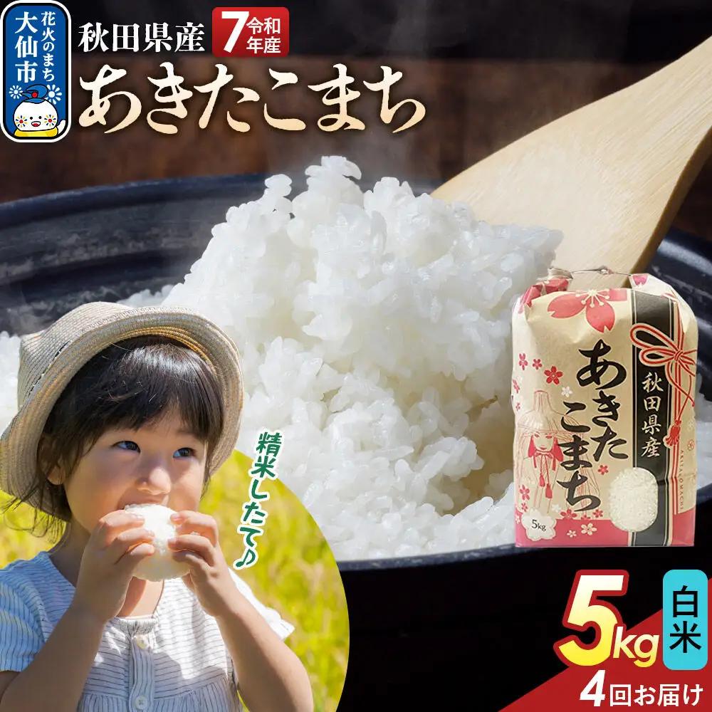 《定期便4ヶ月》【白米】あきたこまち 5kg 秋田県産 令和7年産  こまちライン 秋田県 大仙市産