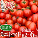 【ふるさと納税】＜先行予約受付中！11月中旬から順次発送予定＞＜内容量が選べる！＞訳あり・規格外！数量限定の門川町産ミニトマト(計2kg・計3kg・計4kg・計6kg)フルーツトマト とまと 野菜 ミックス 生 旬野菜 冷蔵【X-8・X-9・X-10・X-11】【いけとも農園】