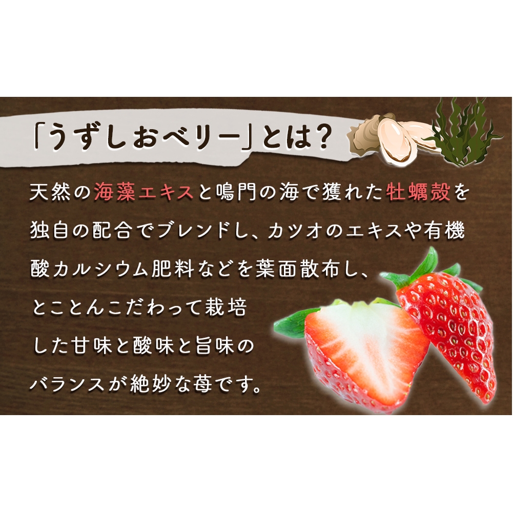 【朝摘みをお届け！】【2025年12月中旬頃より順次発送】 フルーツガーデンやまがたのいちご「うずしおベリー」特大粒24個  【数量限定】 いちご フルーツ 果物 苺 イチゴ 旬の果物 季節の果物 鳴