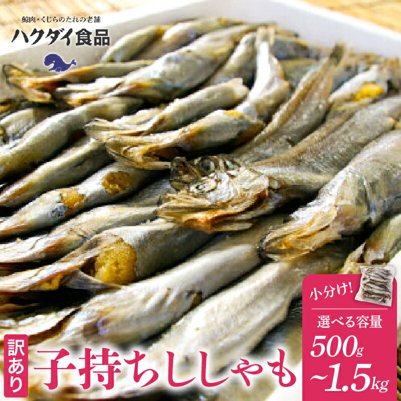 【訳あり】子持ちししゃも 1.5kg 500g×3袋 mi0012-0116 千葉県 南房総市 カラフトシシャモ 魚 焼き魚 小分け 冷凍 栄養豊富 カルシウム おかず おつまみ 天ぷら フライ 南蛮漬け お取り寄せ 送料無料