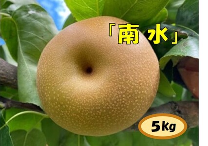 【013-15】【数量限定】ガブッ！シャキ！ジュワー！と甘すぎ南水（梨　南水　5キロ）