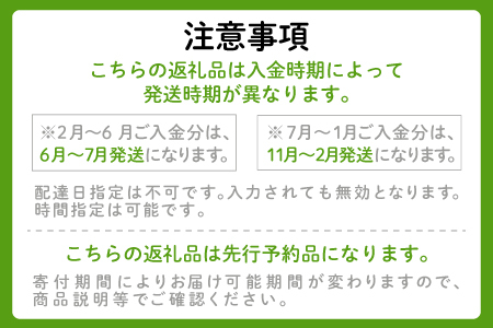 【季節限定品】農薬不使用のビーツ2.5㎏【ビーツ 食べる輸血 奇跡の野菜 無農薬 化学肥料不使用 健康野菜 スーパーフード カエンサイ ボルシチ ポタージュ スムージー スイーツ ビタミン】