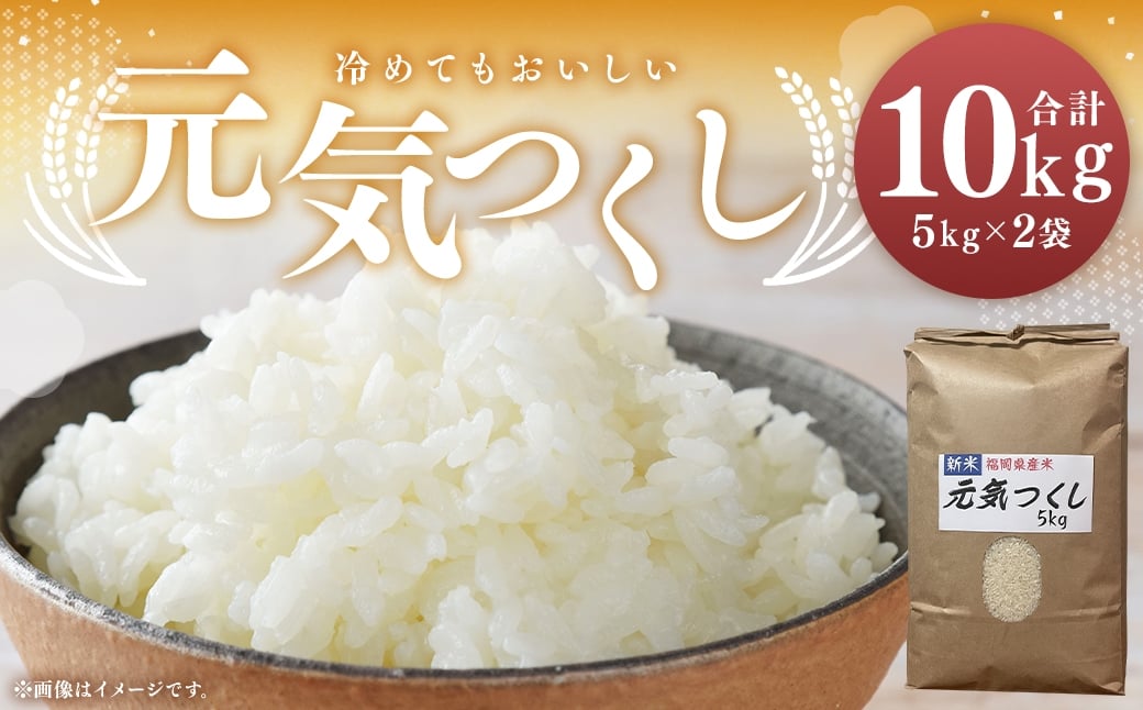 
                  【 令和8年産 】 農家直送！冷めてもうまい元気つくし。福岡が誇るお米「 元気つくし 」 10kg 米 お米 コメ ご飯 白ご飯 白米 国産 福岡県産 オニギリ おにぎり 【 2026年10月下旬発送開始 】
                