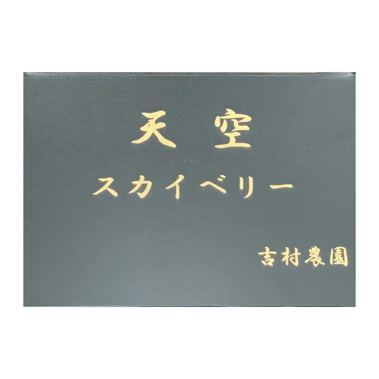 【数量限定】大粒プレミアムいちご スカイベリー 12粒 (約400g)  (DS004)