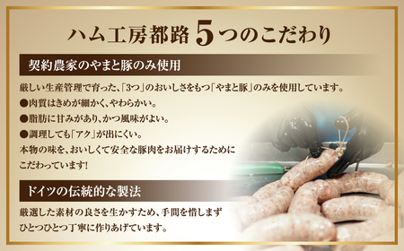 DLG金賞 ベーコン&ウィンナー 6種セット 肉 豚肉 やまと豚 福島県 田村市