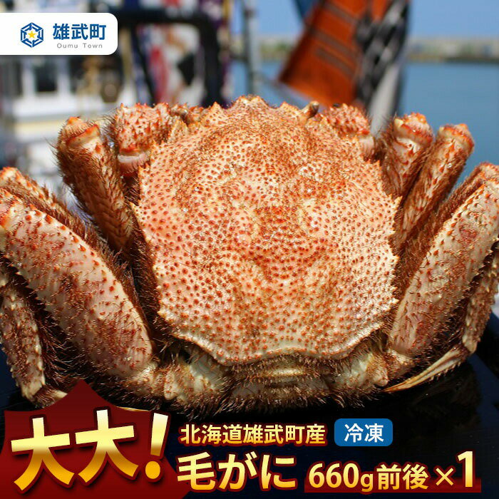 【ふるさと納税】オホーツク産 大 毛ガニ 冷凍 660g かに 蟹ミソ かにみそ 焼きがに かに鍋 北海道 ふるさと納税 雄武 雄武町【1240302】