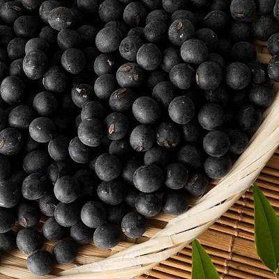 ふるさと納税 京丹波町 黒豆茶(ティーバッグ10g×15個入り)3袋セット≪丹波黒大豆使用≫ |  | 02