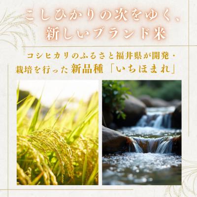 ふるさと納税 小浜市 【毎月定期便】いちほまれ白米10kg全3回 |  | 01