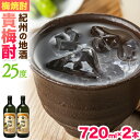 【ふるさと納税】紀州の地酒 貴梅酎 きばいちゅう 25度 720ml×2本 エバグリーン 中野BC株式会社《30日以内に出荷予定(土日祝除く)》和歌山県 日高町 酒 お酒 地酒 梅焼酎