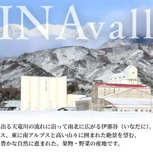 りんご 訳あり サンふじ 4.5kg りんご