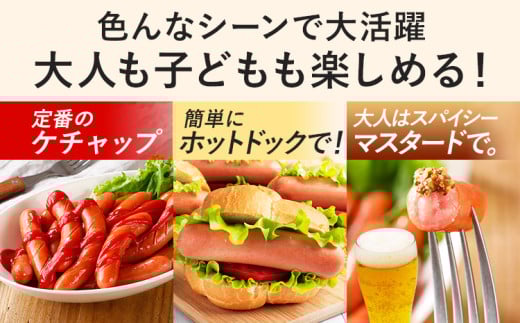 ボリューム3kg！博多の薫り あらびきウィンナー大満足セット