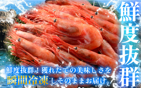 子持ち甘えび  約40尾 × 2箱（1kg） [BFAA050] 【配送不可地域：北海道・沖縄・離島】 