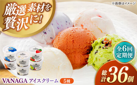 アイス 【全6回定期便】5種類のアイスクリーム6個入[AIBH027]
