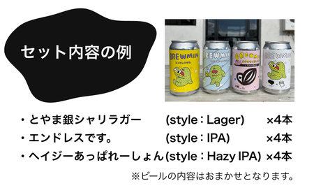 BREWMIN'の クラフトビール おまかせ 飲み比べ 12本セット 富山県 氷見市 地ビール クラフトビール 12缶 詰め合わせ