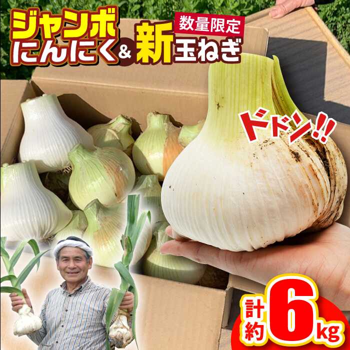 【ふるさと納税】ジャンボにんにく約1kg・新玉葱約5kgセット 平戸市 / しげさん農園 [KAA375]今が旬
