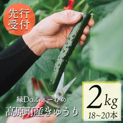 ふるさと納税 高原町 【先行受付10月収穫分】宮崎県高原町産きゅうり2kg(18〜20本)TF0905