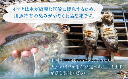 先行予約 6月以降順次発送 白川村産 天然岩魚 イワナ 5尾 18cm以上 岩魚 天然 いわな イワナ 魚 川魚 BBQ バーベキュー アウトドア 岐阜県 白川郷 世界遺産 塩焼き 10000円 [S