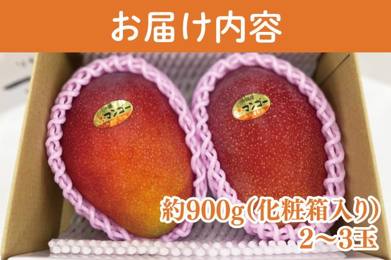 【2025年6月より順次発送】黒秀アーウィンマンゴー 2～3玉(約900g)【化粧箱】｜数量限定 マンゴー アーウィン アーウィンマンゴー フルーツ くだもの 果物 贅沢 ご褒美 お祝い 人気 国産 