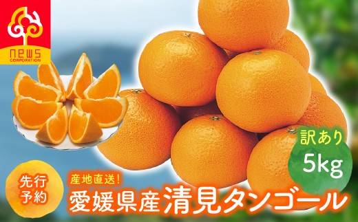 【先行予約】【訳あり】産地直送！愛媛県産清見タンゴール 5kg（2027年2月下旬より順次発送）【ふるさと納税 人気 おすすめ ランキング みかん ミカン 蜜柑 清見タンゴール フルーツ 果物 産地直送 ニュウズ 愛媛県産 愛媛県 伊方町 送料無料】IKTF035
