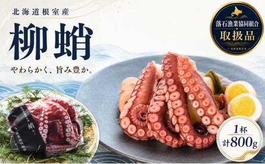 
                  G-20005【北海道根室産】柳蛸ボイル1杯(800g)
                