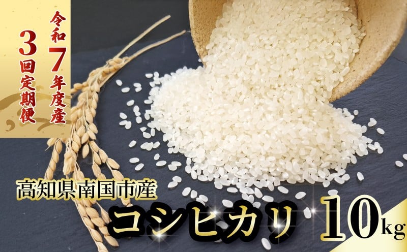 
            【3回定期便】令和7年度 南国市産 コシヒカリ 白米 10㎏ | 新米 数量限定 米 コメ お米 ご飯 おにぎり こめ 弁当 高知県 南国市
          