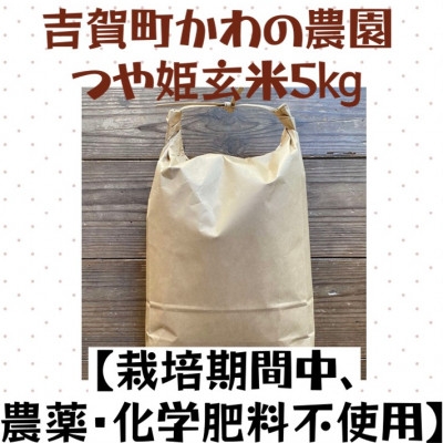 
                  吉賀町かわの農園　つや姫玄米5kg＜栽培期間中、農薬・化学肥料不使用＞【1698481】
                