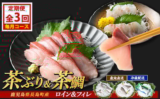 
            茶ぶり・茶鯛の定期便 毎月 (全3回)  国産 鹿児島県産 ブリ 茶ぶり 鰤 茶鯛 鯛 海鮮 海産物 フィレ 魚介 魚 刺身 海鮮丼 産地直送 定期【ウスイ】usui-1385A7
          