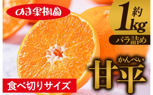 【先行予約】甘平（1kg） [K003720K1] 人気商品 国産 高級フルーツ 人気商品 みかん 柑橘 フルーツ 果物 乃万青果 のま果樹園 甘平 高級柑橘