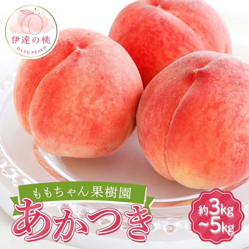 【ふるさと納税】≪2025年出荷分≫ 先行予約 ももちゃん果樹園の自慢の桃 「あかつき」 《選べる容量》 約3kg・約5kg 2025年7月下旬～2025年8月上旬発送 伊達の桃 福島県 伊達市 桃 もも モモ 果物 くだもの フルーツ 国産 食品 F21C-042var