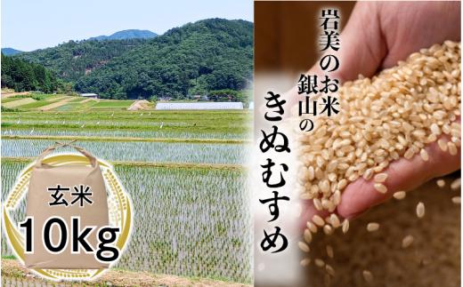 【先行予約】岩美町銀山のきぬむすめ（玄米）10kg｜鳥取 岩美 米 お米 こめ コメ 玄米 令和7年産 新米【31027】