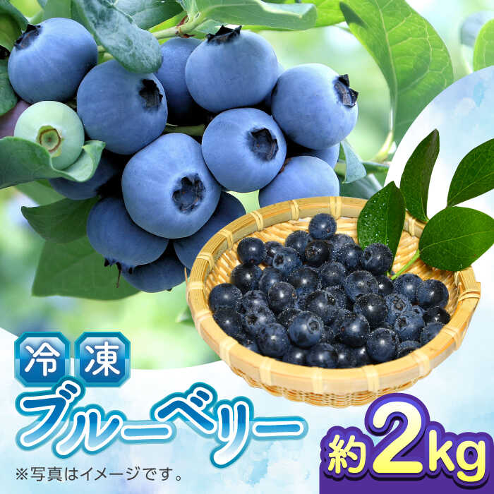 【ふるさと納税】【先行予約】【8月より順次発送】【加工用】冷凍ブルーベリー 2kg【「のん気・元気」百姓家】[YAL027]