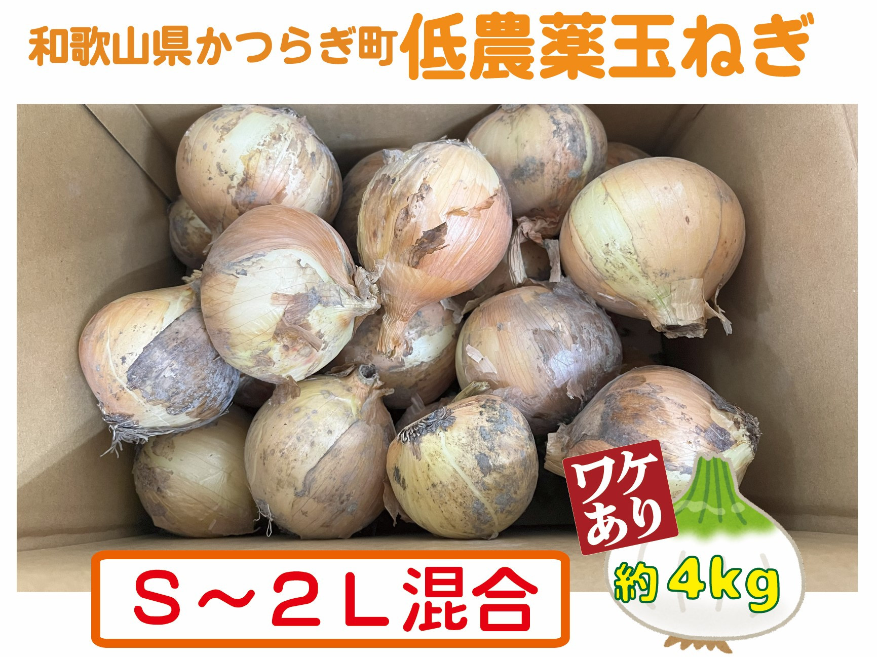 
            【2026年発送分・先行予約】【訳あり】農家さん直送　低農薬玉ねぎ　約4kg　S～2L混合【2026年4月中旬～7月中旬発送予定】
          