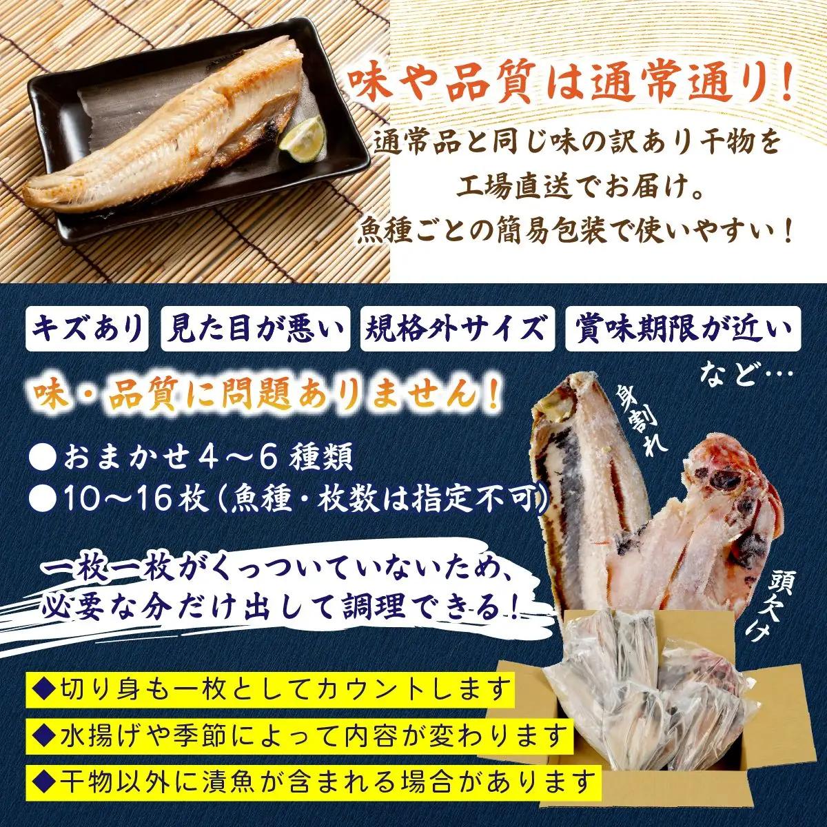 訳あり干物セット 家庭用 約1kg【配送不可地域：離島】【1662642】