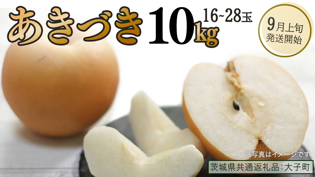 あきづき 約10kg（16～28個）【2026年9月上旬発送開始】(茨城県共通返礼品：大子町) 秋月 梨 なし 果物 くだもの フルーツ	