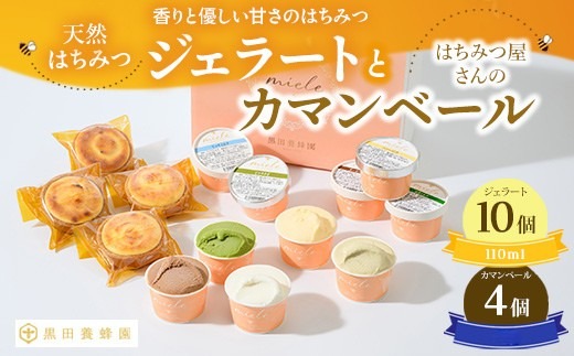 天然はちみつ ジェラート と はちみつ屋さん の カマンベール（ジェラート等14個） スイーツ お菓子 アイス シャーベット お菓子 ケーキ タルト ※北海道・沖縄・離島への配送不可