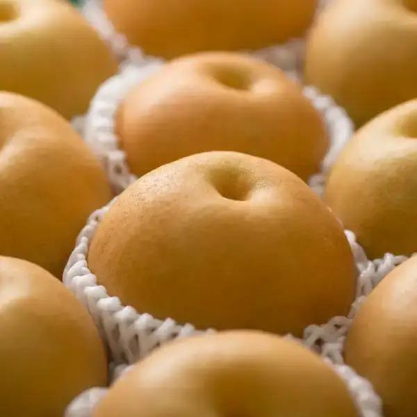 先行予約 和梨 豊水 自家用 約5kg  新潟県 三条市